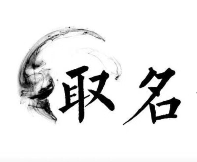  茄子河宝宝取名 大师一对一人工起名